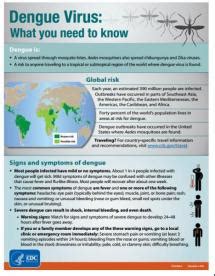 Dengue Virus: What you need to know .